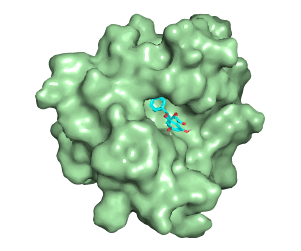 matéria-prima (molécula em azul) interagindo com uma proteína que degrada colágeno (estrutura em verde)
