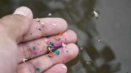 Imagem da mão de uma pessoa segurando pedaços de microplásticos. Ao fundo da mão, água.